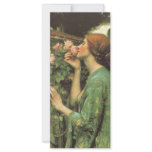 My Sweet Rose (Soul of the Rose) by Waterhouse rack cards