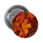 My Templates - Flowers Button