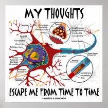 My Thoughts Escape Me From Time To Time (Neuron)