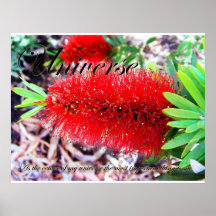 My Universe Print