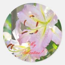 My Valentine! stickers Pink Lily Flowers Garden