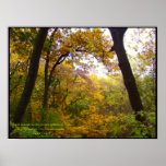 My World Autumn Splendour poster posters