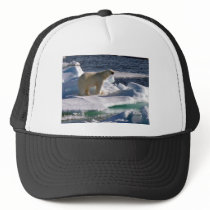 My World is melting! Mesh Hat