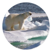 My World is melting! Sticker