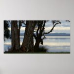 Myall Lakes Poster
