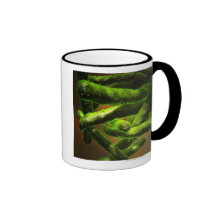 Mycobacterium Tuberculosis Mug