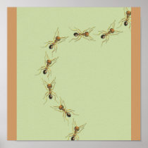 Myrmoteras Binghami, Ants Posters