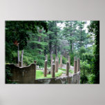 Mysterious Place Gallery Print