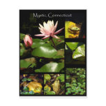 Mystic, Connecticut postcards