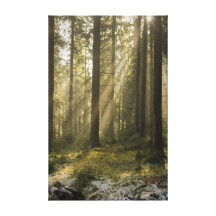 Mystic forest canvas print