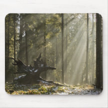 Mystic forest mousepad