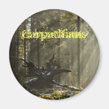 Mystic forest refrigerator magnets