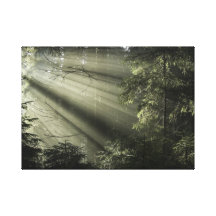 Mystic forest stretched canvas prints