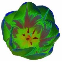 Mystic Green Tulip Photo Sculpture