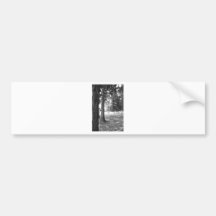 Mystic Tree Bumper Sticker