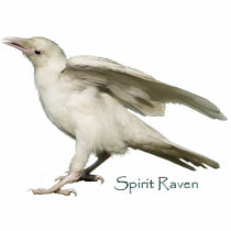 Mystic White Raven Wildlife Sculpted Gift Item Photo Sculptures