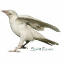 Mystic White Raven Wildlife Sculpted Gift Item photo sculptures