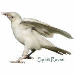 Mystic White Raven Wildlife Sculpted Gift Item photo sculptures