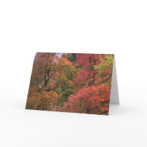 Mystical Autumn (3) Greeting Cards