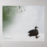Mystical Duck Poster