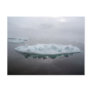 Mystical Icebergs Postcard