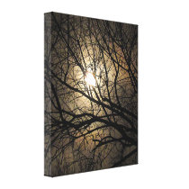 Mystical Moon Canvas Prints