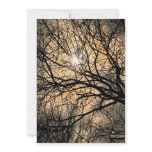 Mystical Moon Halloween invitations
