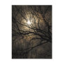 Mystical Moon Postcard