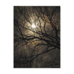 Mystical Moon postcards