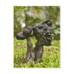 Mystical Mushrooms postcards