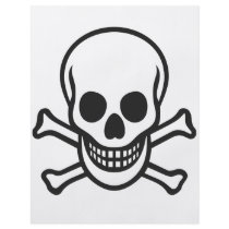 Mythbusters Skull Flyers