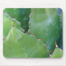 N.A., USA, Arizona, Tucson, Sonora Desert Mousepads