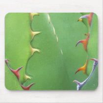N.A., USA, AZ, Phoenix, Desert Botanical 2 Mousepad