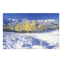 N.A., USA, Colorado, San Juan Mts Fresh snow