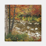 N.A., USA, New Hampshire, White Mountains, Fridge Magnets