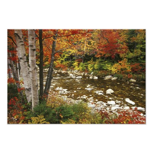 N.A., USA, New Hampshire, White Mountains, Art Photo