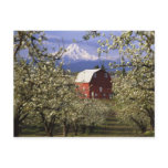 N.A., USA, Oregon, Hood River County. Red postcards