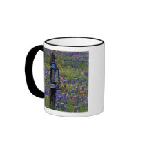 N.A., USA, Texas, Llano, Blue Lantern and Mug