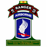 N Co, 75th Infantry Regiment - Rangers, Vietnam photo sculptures
