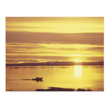 NA, Canada, Canadian Arctic, Baffin Island Postcard