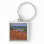NA, USA, Maine. Blueberry Barrens. keychains