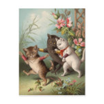 Naghty Cats postcard