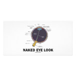 Naked Eye Look (Anatomical Attitude) photo cards