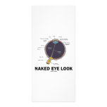 Naked Eye Look (Anatomical Attitude) rack cards