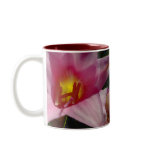 Naked Ladies mugs