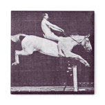 Naked man riding a horse magnets