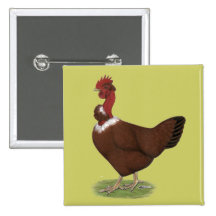 Naked-neck Hen Pinback Button
