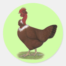 Naked-neck Hen Round Stickers