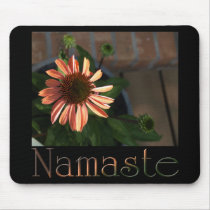 Namaste 3
