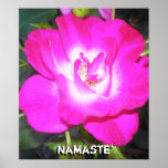 Namaste Poster posters